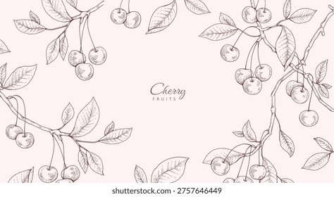 Cherry fruit. Summer background with berry and brunch. Detailed hand drawn ink floral illustration for invitation, wallpaper art or save the date card