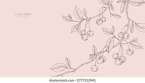 Cherry fruit. Summer background with berry and brunch. Detailed hand drawn ink floral illustration for invitation, wallpaper art or save the date card