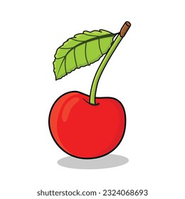 Cherry fruit. Sweet cherry fruit. Red Cherry fruit icon vector logo cartoon illustration background