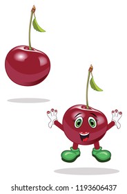 Cherry Fruit Vector