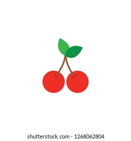 cherry fruit vector