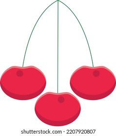 Cherry fruit Vector Design icon