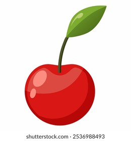 cherry fruit. vector illustration  and white background