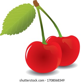 
Vektorillustration der Kirschfrucht. gewöhnlich als Nachtisch gegessen.
