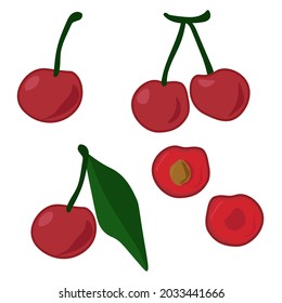 Kirschfrucht, ganz und halb, saftige rote Beeren auf einem Zweig und mit einer Vektorgrafik