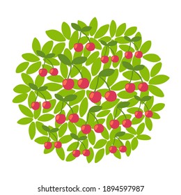 Árbol de cerezos. Contra el fondo redondo de la corona y las hojas. Cosecha de huertos. Vector.