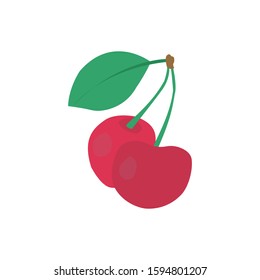 cherry fruits vector illustration isolated on a white background