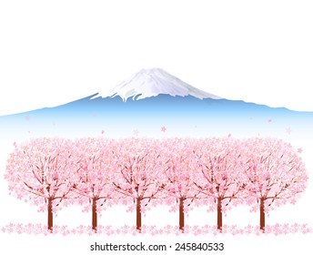 Cherry Fuji background