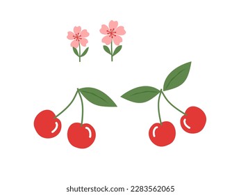 Cherry with green leaves and cute flower isolated on white background vector illustration.