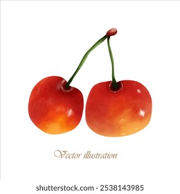 cherry hand draw watercolor vector illustration