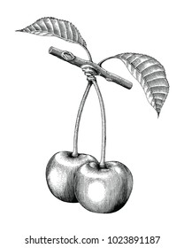 Cherry hand drawing vintage engraving illustration