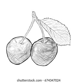 Cherry hand drawn, black and white isolated vector illustration