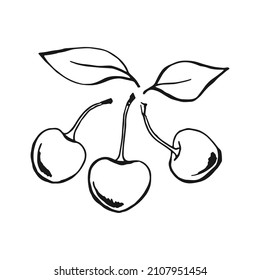 Kirsche. Handgezeichnete Illustration umgewandelt in Vektorgrafik.