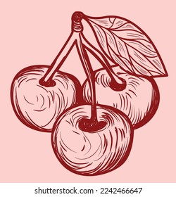 Cherry hand drawn illustration. sketch. Great for label, poster, print.