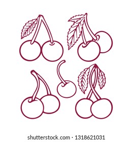 Cherry. Hand drawn cherry illustrations set. Cherry sketch drawings.