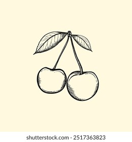 Cereza dibujada a mano aislada. Ilustración vectorial.