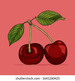 Cherry hand drawn style. Engraved vintage cherry. Vector illustration for label, poster, baner, packaging or other