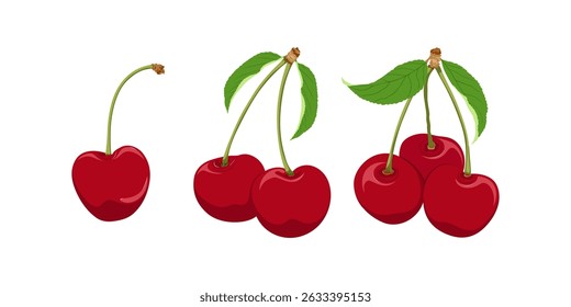 Cherry hand drawn. Cherry with twigs and leaves.
