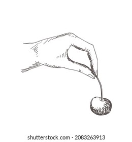 Cherry in hand. Vector illustration, sketch.
