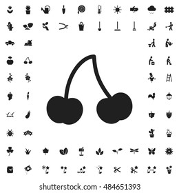 Cherry icon illustration isolated vector sign symbol