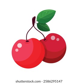 Cherry icon. Isolated illustration of cherry on white background. Berries illustration. Fresh and juisy berries.  Colourful design and decoration element. Flat design. Vector illustration.