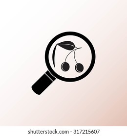 Cherry Icon vector