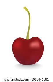 cherry icon, vector fruit illustration