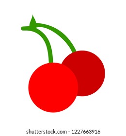 cherry icon, vector fruit illustration, sweet cherries, fresh healthy cherries