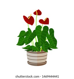 cherry icon, vector fruit illustration, sweet cherries, fresh healthy cherries