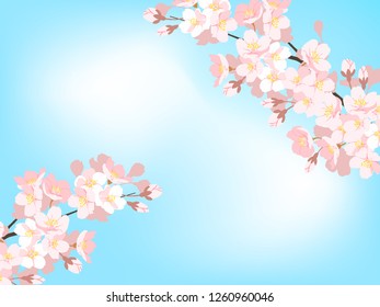 Cherry illustration, background image