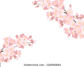 Cherry illustration, background image