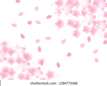 Cherry illustration, background image