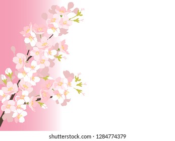 Cherry illustration, background image