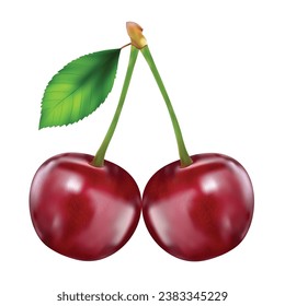 Cherry illustration on white background. Isolated illustration of juicy berry