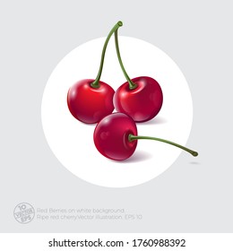 Cherry illustration. Three ripe red berries with shadows on white background. Illustration can use for packaging or posters. 10 EPS. Vector.