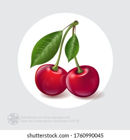 Cherry illustration. Two ripe red berries with leaves on white circle. Illustration can use for packaging or posters. 10 EPS. Vector.