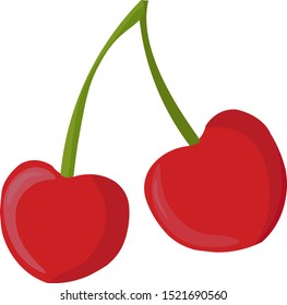 Cherry, illustration, vector on white background.
