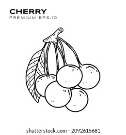 cherry illustration for vegetarians premium vector
