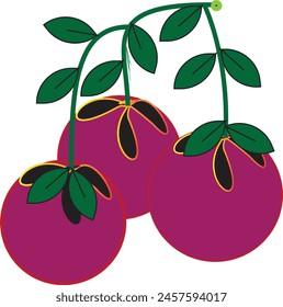 cherry image illustration on white background