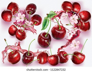Cherry into of burst splashes of juices on transparent background. Vector illustration