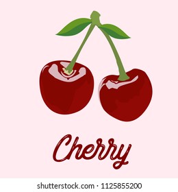 Cherry. Isolated berries on background. Vector illustration. Cherry icon, vector fruit illustration, sweet cherries, fresh healthy cherries. Fresh fruit, natural berry