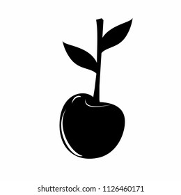 Cherry. Isolated berries on background. Vector illustration. Cherry icon, vector fruit illustration, sweet cherries, fresh healthy cherries. Fresh fruit, natural berry. White and black