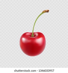 Cherry isolated on transparent background. Sweet berry icon. Vector realistic red cherry template.