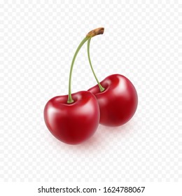 Cherry isolated on transparent background. Sweet 3d berry icon. Vector realistic red cherry template.
