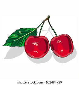 cherry isolated on white background vector