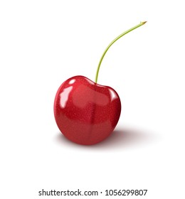 Cherry isolated on white background. Ripe berry. Vector illustration.