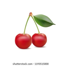 Cherry isolated on white background, realistic vector cherry 