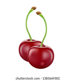 Cherry isolated on white background, vector illustration.