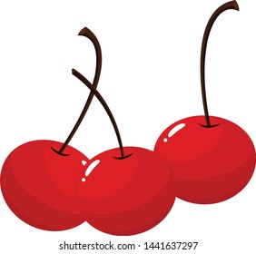 Cherry isolated on white background. illustration vector