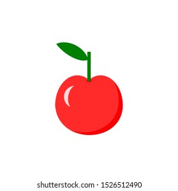 cherry isolated on white background. vector illustration